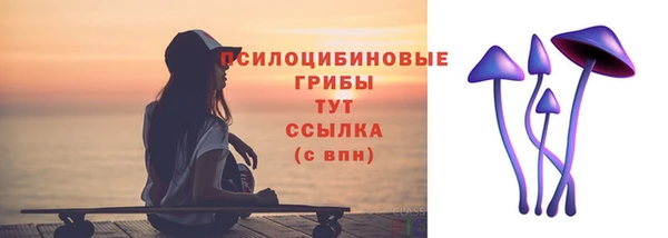 apvp Елабуга
