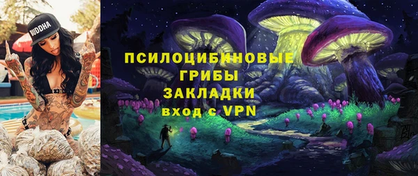 2c-b Елизово