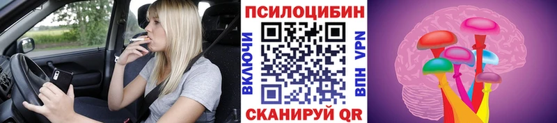 Купить где  Нестеровская  Псилоцибиновые грибы мицелий 